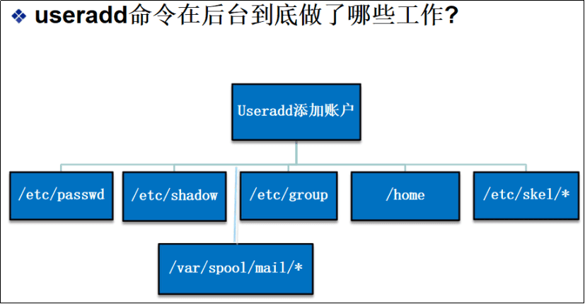 image-20220813013242770