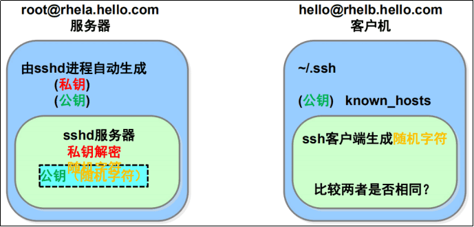 image-20220824135239974