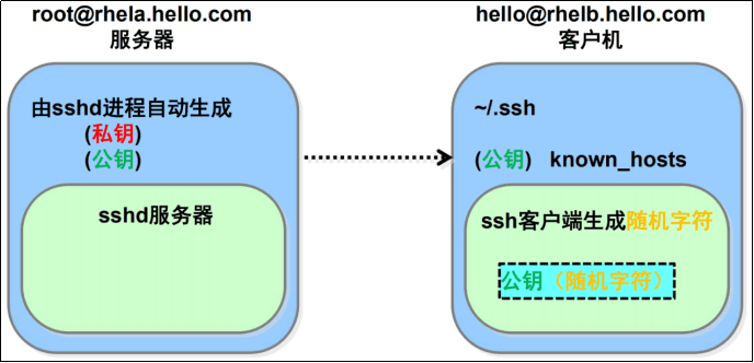 image-20220824135229894