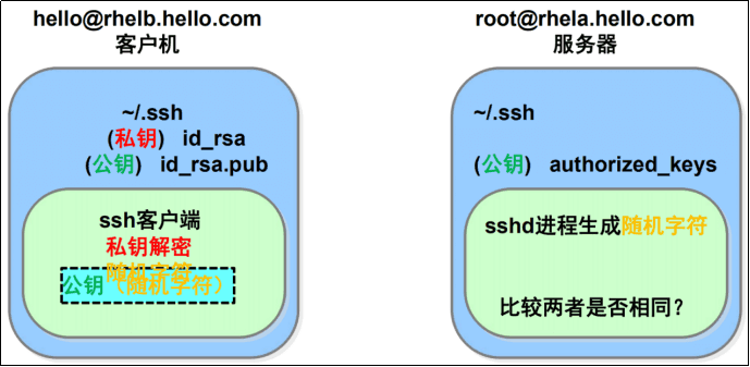 image-20220824135415658